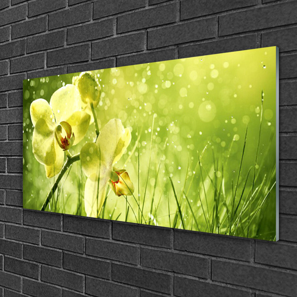 Glasbild Floral Gras Blumen