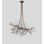 Jaydence 11 - Light Chandelier