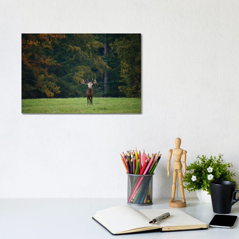 Roar 1 Piece Wrapped Canvas Wall Art, 20.32 cm H x 30.48 cm W