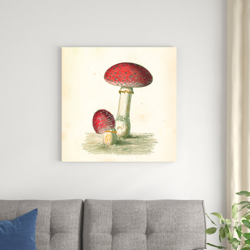 Champignons français III, H 30 po x l 30 po