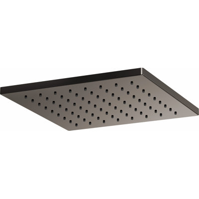 Essential™ Rain Adjustable Shower Head