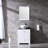 Brandey 25" Single Bathroom Vanity with Mirror and Sink