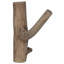 Solid Wood 1 - Hook