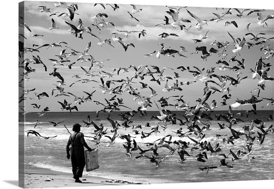 « oiseaux oiseaux » par liesbeth van der werf, reproduction de photo sur toile, H 16 po x l 24 po x P 1,25 po