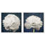 Oliver Gal Pretty View Set Floral and Botanical - Framed Canvas Art-763291846-763292473