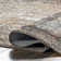 Aagna Distressed Medallion Power Loom Performance Brown/Gray/Ivory Rug