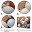 «Beach Photo Seashell Symphony III», reproduction d'art sur toile-1203617841-1203617844