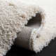Assar Ivory Area Rug