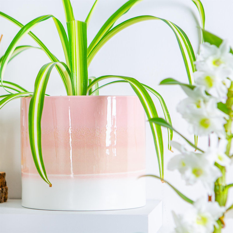 Nicola Spring - Reactive Glaze Plant Pot, 15.5cm H x 18cm W x 18cm D, Pink
