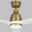 Ceiling Fan with LED Lights-87377910