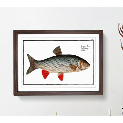 Idus-Carp Fish by M.E. Bloch - Framed Print