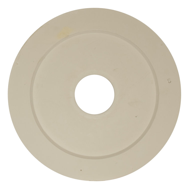 Adonis 16.125"H x 16.125"W x 1"D Ceiling Medallion