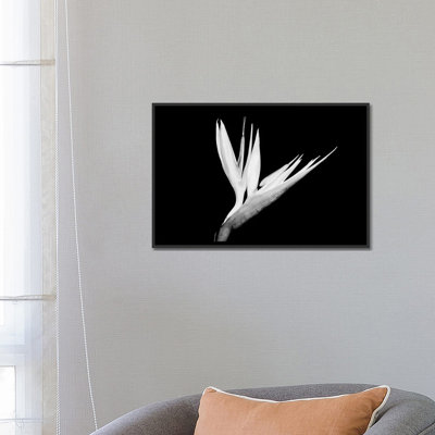 « still-life shot of a oiseau of paradise fleur », reproduction d’impression sur toile