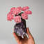 Medium Genuine Rose Quartz Clustered Gemstone Tree on Amethyst Matrix (The Love Tree)