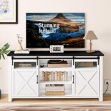 Doty Farmhouse TV Stand with Power Outlet Glass Doors
