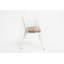 Banc de jardin avec rose-1737095310