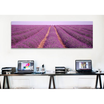 " France, View Of Rows Of Blossoms In A Field " by Panoramic Images