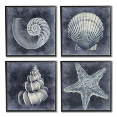 " Nautical Distressed Seashells and Starfish Blue White " 4 Piece Art Graphic Art Print