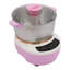 Mélangeur de pâte électrique 5L, pétrisseur à pâte (argent + rose)