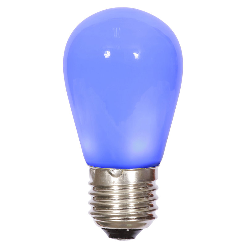 Light Bulbs