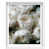 White Shadowbox