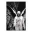 « cemetery ange », impression sur toile
