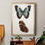 «Antique Blue Butterflies IV», reproduction encadrée de qualité supérieure - prête à être accrochée-1287428876-1287428879