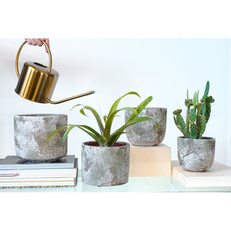 Hasana Pot Planter, 13cm H x 15cm W x 15cm D