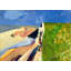 Seawall, 1957-1732270403