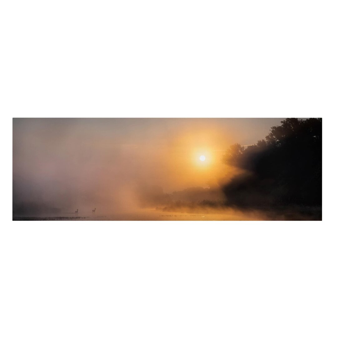 Leinwandbild Sonnenaufgang Am See Mit Rehen Im Nebel