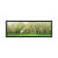 Rows of Cherry Tress in an Orchard, Minnesota - reproduction d'art sur toile tendue-19967058-73649316