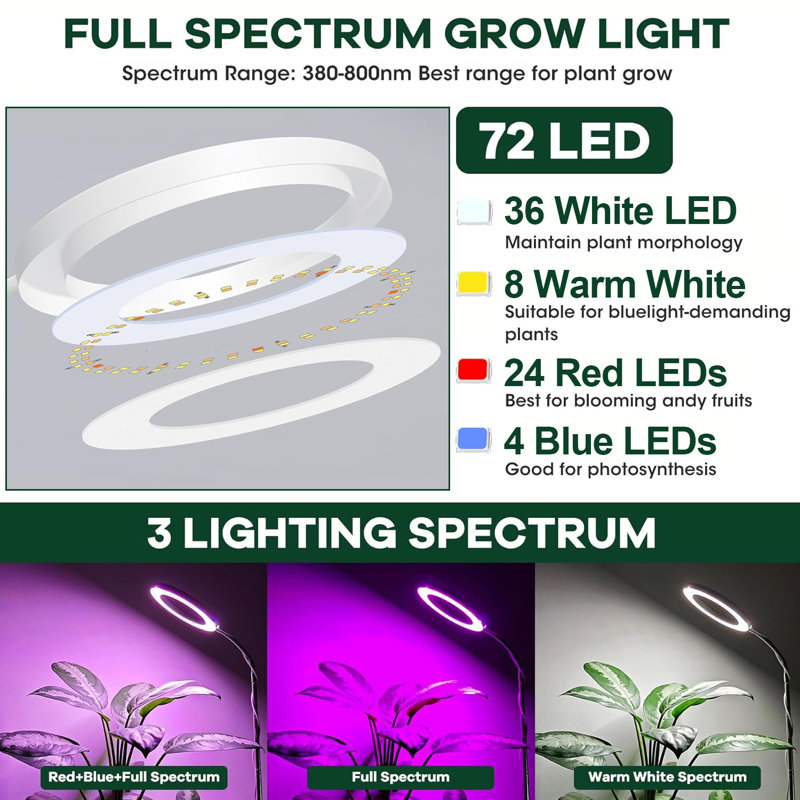 Lampe de culture 61 "à spectre complet avec base pour plantes d'intérieur, Chrome