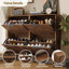Walnut Flip-Door Shoe Cabinet with Double-Tier Storage
