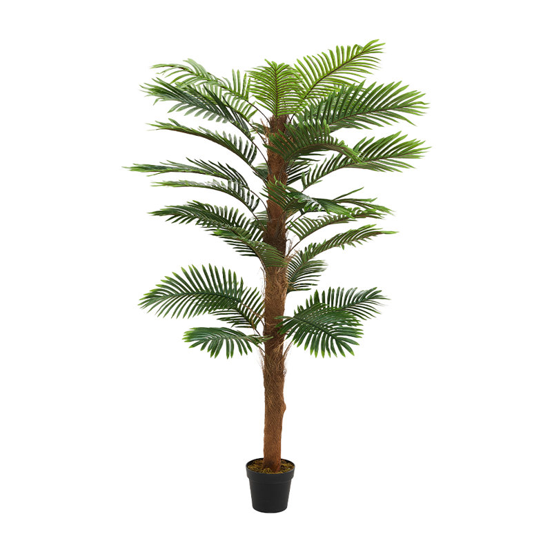 Plant