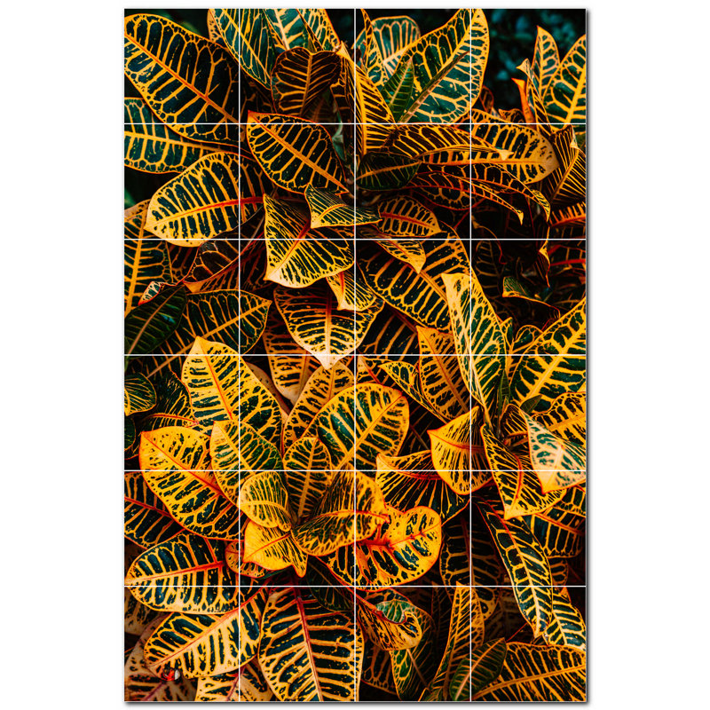 Photo d'arbres 6 x 6