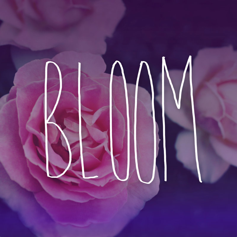 Bloom 5, impression sur toile tendue, H 20 po x l 20 po, Non, Toile tendue