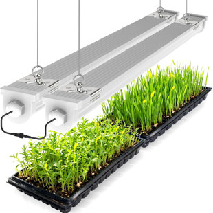 Jesled 4ft Waterproof Grow Lights For Indoor Plants, Sunlight Full Spectrum 5000k Led For Seed Starting, Seedling & Vegetables, 96w(2 X 48w,600w Equiv), Linkable Grow Light Strip With Switch, 2p