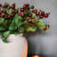 Montana Rose Hip Faux Floral-1231080859-1231080858