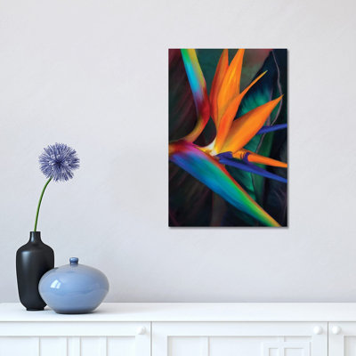«Birds of Paradise» par Juliana Loomer - reproduction