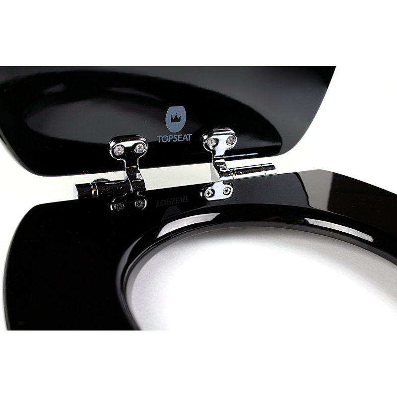 Art Of Acryl Elongated Toilet Seat and Lid