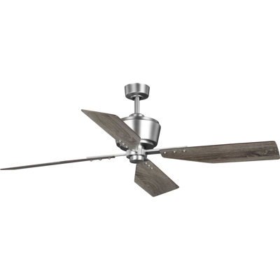 Chapin 56'' Ceiling Fan