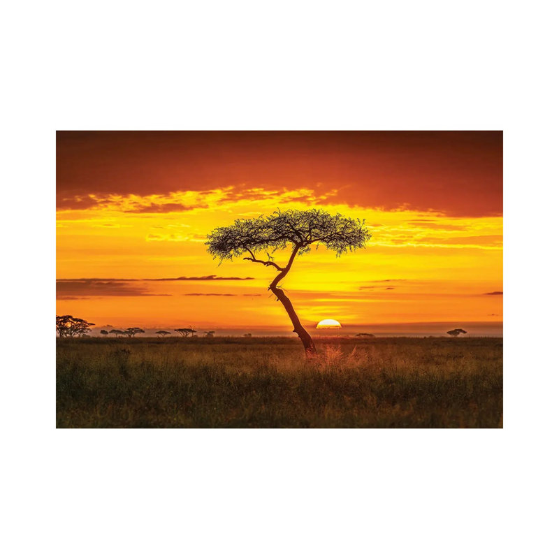 Primordial Africa by Jeffrey C. Sink - Wrapped Canvas Print, 66.04 cm H x 45.72 cm W x 1.91 cm D