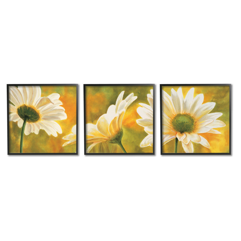 «Blooming Wild Daisies Field» par Pierre Viollet - peinture 3 pièces, Giclée encadrée noir minuit
