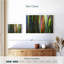 Écorce d'eucalyptus arc-en-ciel-107844532