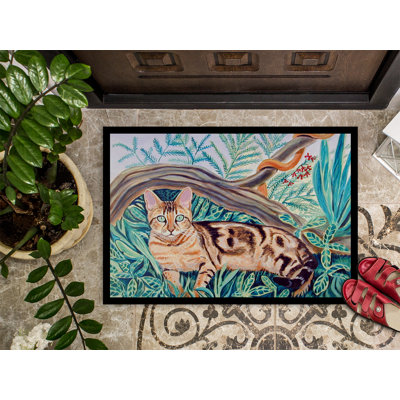 Non-Slip Indoor Doormat