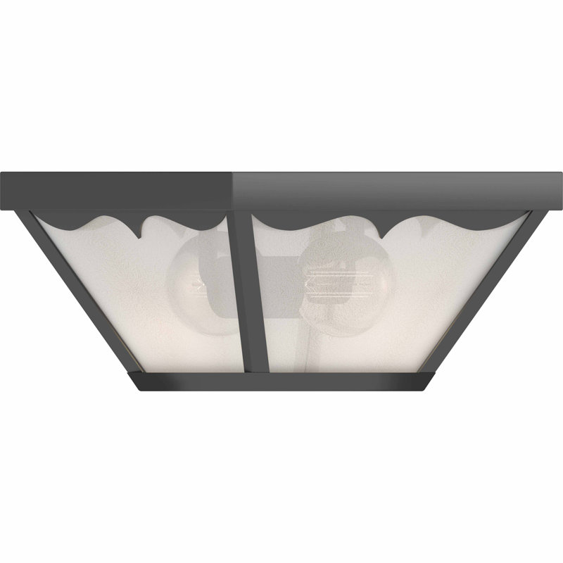 Black Polycarbonate and Glass Outdoor Flush Mount Light