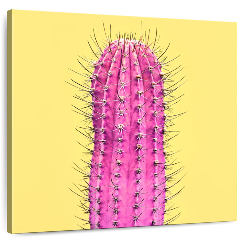 Harnek Spiny Pink Cactus, 24" H x 24" W