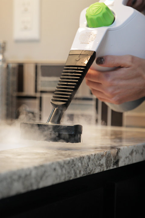 Steam Cleaners