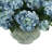 Keenum Hydrangea Floral Arrangement in Vase-1856787030