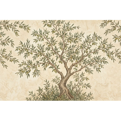 Olive Tree Wallpaper Vintage Fresco Wall Mural